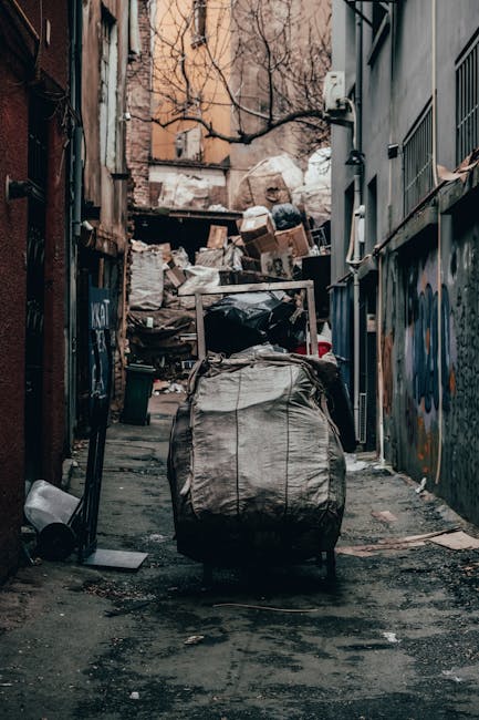 A narrow alleyway cluttered with accumulated rubbish, including large black and white plastic bags filled with waste, some torn open revealing torn paper and miscellaneous debris. Behind the bags, there are stacks of flattened cardboard boxes and other discarded materials piled haphazardly against a weathered brick wall and a metal fence, with additional waste spilling onto the dark, uneven ground. The alley is flanked by tall, aged buildings with graffiti on the walls, and leafless tree branches extend overhead, casting a muted light on the scene. A small wheeled cart or bin is positioned at the forefront, suggesting collection or transport of the rubbish, which is typical of private or independent waste removal efforts rather than official municipal collection. The environment appears neglected, and the scene visually aligns with a site requiring professional rubbish removal services, such as those offered by Rubbish Removal Ilford, for effective waste clearance and disposal in urban settings.