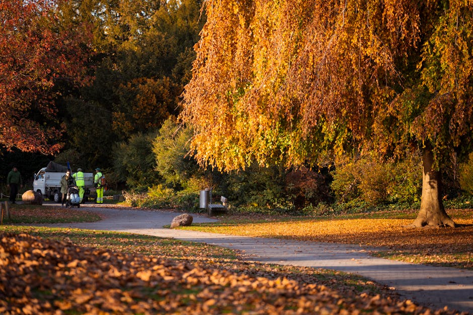 A young woman with light skin and red hair tied back, dressed in a navy blue fleece and black leggings with white patterns, is walking through a leafless woodland area. She is carrying a large black garbage bag on her back, likely filled with collected rubbish, and appears to be participating in an outdoor cleanup activity. The ground beneath her is covered in brown fallen leaves and bare twigs, with thin, leafless tree branches overhead. In the background, another person dressed in a dark jacket with a light blue hoodie underneath and beige pants is visible, also engaged in clearing or collecting waste among the trees. The scene is set during an overcast day, with soft, diffuse lighting that enhances the natural, muted tones of the winter or early spring environment. This visual context relates to the theme of private waste collection or on-site rubbish removal, aligning with the services provided by Rubbish Removal Ilford, highlighting efforts of local residents to manage waste independently in outdoor spaces.